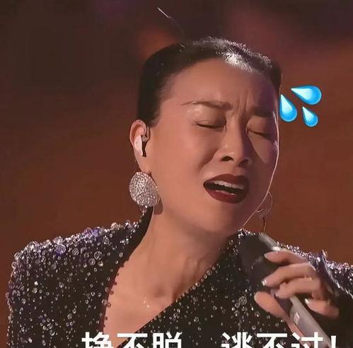 那英唱歌搞笑,笑料百出，欢乐无限